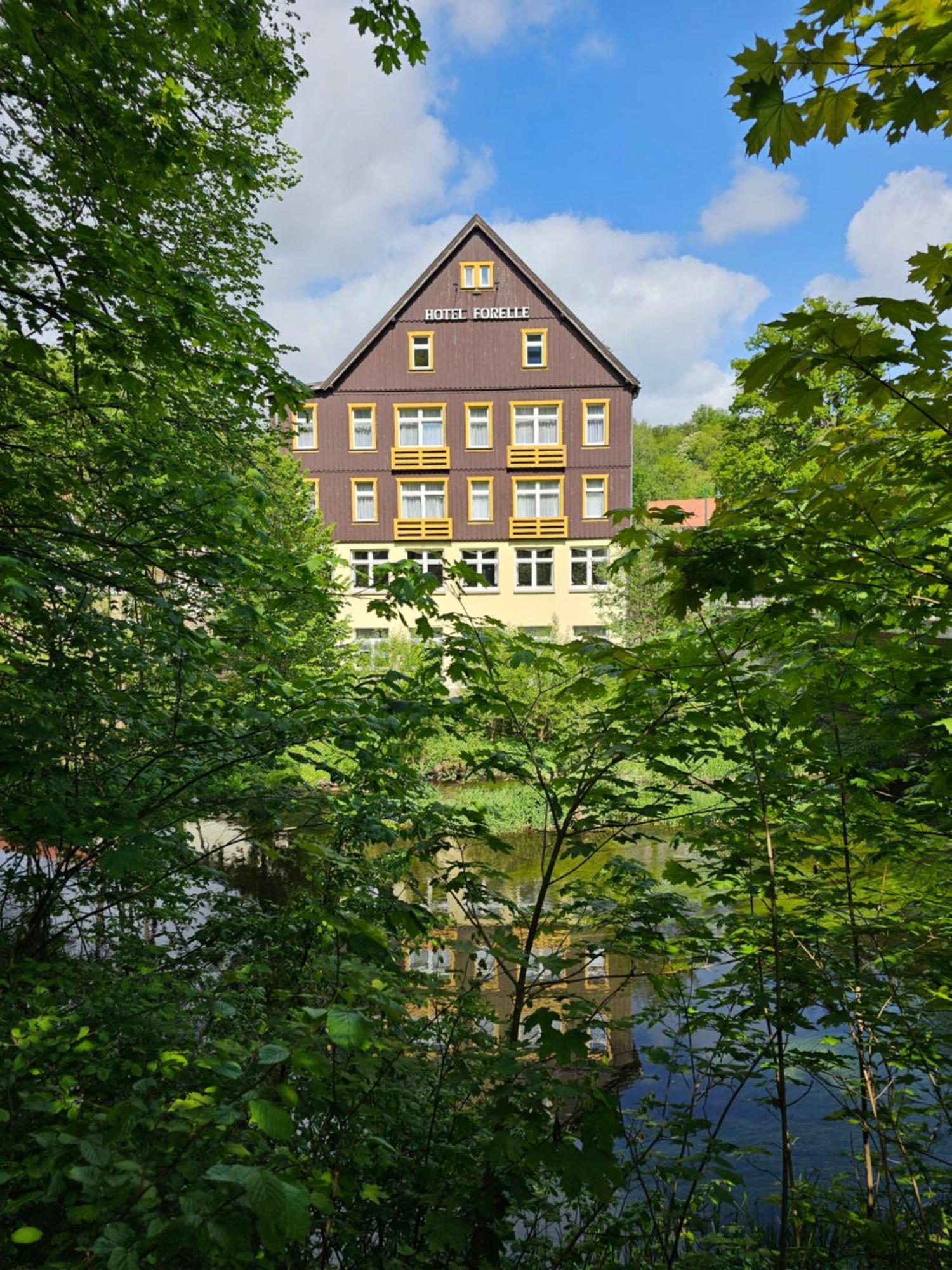 Greenline Ferienhotel Forelle Тале Екстер'єр фото